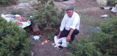 Köpek Yavrularını Çuvala Koyup Ölüme Terk Ettiler
