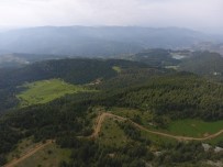 KUŞBURNU - 5 Milyon 96 Bin 286 Adet Fidan Toprakla Buluştu