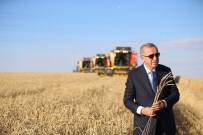 TARIM ÜRÜNÜ - Cumhurbaşkanı Erdoğan Açıklaması 'Benim Girişimcim, Çiftçim Bu Faiz Belası Altında Ezilmeyecek'