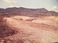 ORMAN İŞLETME MÜDÜRÜ - Elmalı'da 20 Yıl Önce Yanan Orman Yeniden Canlandı