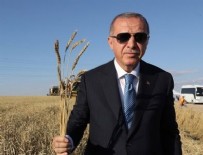 TOPRAK MAHSULLERI OFISI - Erdoğan'dan müjde üstüne müjde: Bayramdan önce ödeyeceğiz