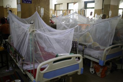 Honduras'ta 54 Kişi Dang Hummasından Öldü