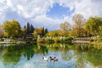 İRLANDA CUMHURIYETI - İncilipınar, Yine Dünyanın En İyileri Arasında Yerini Aldı