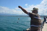 BALIK TUTMAK - İskelede Balık Avı