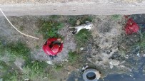 Kanalda Mahsur Kalan Köpeği İtfaiye Kurtardı Haberi