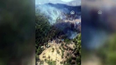 Mersin'de Orman Yangını