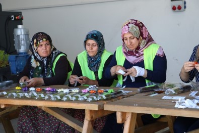 Nikah Fidanları Sivas'ta Üretiliyor