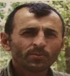 İSTIHBARAT - Türk Diplomatı Şehit Eden Terörist, Kandil'de Etkisiz Hale Getirildi