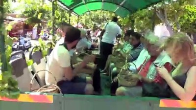 Bozcaada'da Bağ Bozumu Etkinliği