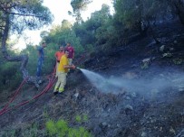 Çorum'da Orman Yangını; 2 Hektar Alan Kül Oldu Haberi
