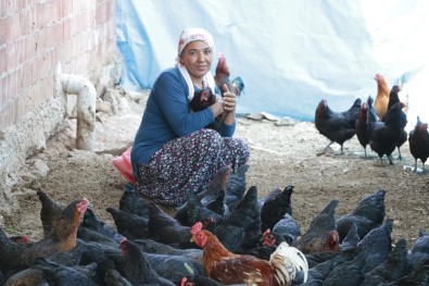 Geçinmek İçin Başladığı İşi Büyüten Kadının Hedefi Tavuk Çiftliği Sahibi Olmak