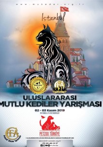 İstanbul Uluslararası Kedi Güzellik Yarışması 31 Ekim'de