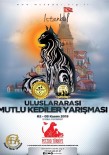 VAN KEDİSİ - İstanbul Uluslararası Kedi Güzellik Yarışması 31 Ekim'de