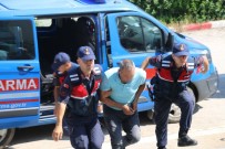 KÖSELI - Kozan'da Hint Keneviri Operasyonu Açıklaması 5 Gözaltı