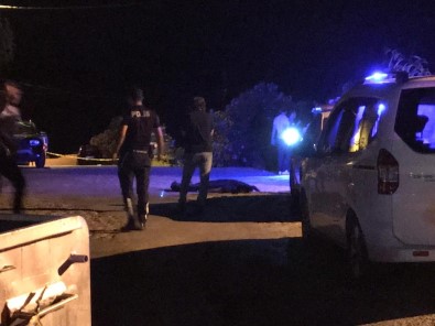 Kuşadası'nda Roman Bir Gencin Bıçakla Öldürülmesinin Ardından Ortalık Karıştı