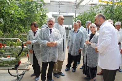 Türkiye'nin Fabrika Baca Atığı İle Isıtılan İlk Modern Serası Hizmete Açıldı