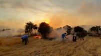 BAGOK DAĞI - Mardin'de Orman Yangını 6 Mahalleyi Tehdit Ediyor