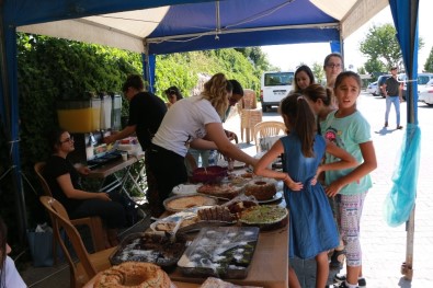 Sokaktaki Sahipsiz Canlar İçin