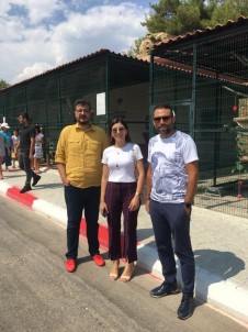 Av. Orçun Özekenci Açıklaması 'Mersin'de Sokak Hayvanları Sahipsiz Değil'