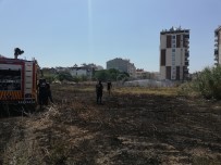 ADNAN MENDERES - Aydın'daki Yangın Evlere Sıçramadan Söndürüldü