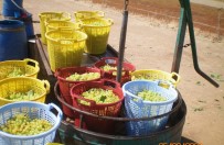 İZMIR VALISI - Bakan Pakdemirli Açıklaması 'Çekirdeksiz Kuru Üzüm Üreticisini Mağdur Etmeyeceğiz'