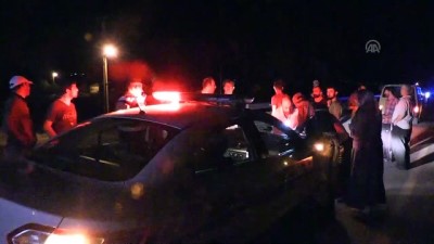 Başıboş Eşek Kazaya Neden Oldu Açıklaması 8 Yaralı