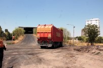 KATLIAM - Belediyeye Ait Barınakta Kısırlaştırılmak İstenen Köpeklerin Öldürüldüğü İddiası