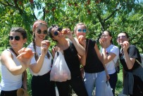 BÜYÜKYıLDıZ - Bosna Hersekli Öğrenciler Hamur Açtı, Gözleme Pişirdi