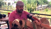 KARAKURT - Evlerinde Besledikleri Hayvanlar 'Can Dostları' Oldu