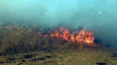 Gaziantep'te Anız Yangını