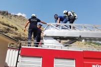 TATBIKAT - Hastanede Yangın Tatbikatı