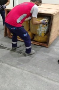 İstanbul Havalimanı'nda 1 Ton 217 Kilogram Pangolin Pul Ele Geçirildi
