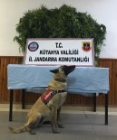 HINT KENEVIRI - Jandarma'dan Uyuşturucu Operasyonu