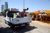 ECZACıBAŞı - Kartal Belediyesi, Kurban Bayramı Hazırlıklarını Tamamladı