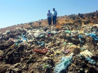 KİLİS VALİSİ - Kilis'teki Afrin Çöplüğü Temizleniyor