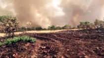 ORMAN ALANI - Mardin'deki Orman Yangını