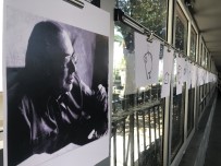 KARİKATÜR - 'Şadi Dinççağ 100 Yaşında' Karikatür Sergisi Açıldı