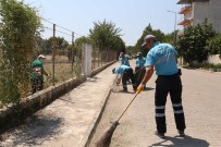 HAYVAN PAZARI - Umurlu'da Hayvan Satış Alanı Açılacak