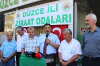 SERBEST PIYASA - Fındık Üreticisinin Umudu TMO