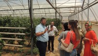GÜSEM Organik Tarım Kursiyerlerinden İslahiye MYO'ya Ziyaret