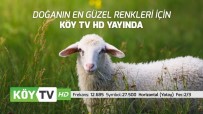 FREKANS - Köy TV HD Yayın Hayatına Başladı