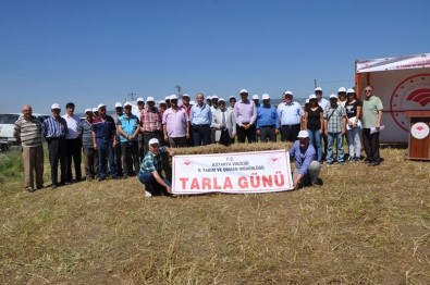 Müdür Vekili Mustafa Kurt Açıklaması Kütahya'da 50 Bin Hektar Nadas Alanı Var