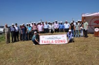 İL GENEL MECLİSİ - Müdür Vekili Mustafa Kurt Açıklaması Kütahya'da 50 Bin Hektar Nadas Alanı Var