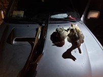 KARAMıK - Afyonkarahisar'da Kaçak Avcılara Cezai İşlem Uygulandı