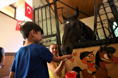 Atlı Eğitim Merkezi İle Hayvan Sevgisi Aşılanıyor