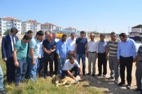 KURBAN KESİMİ - Bünyan'da Kurban Kesim Kursu Açıldı