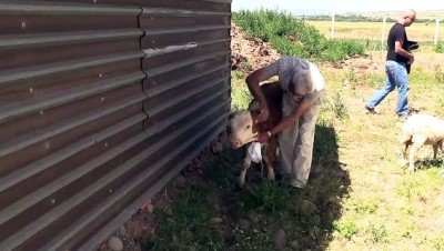 Huzuru Köyde Bulanlar - 'Hayatın Tadını Köyümüze Geldiğimizde Aldık'