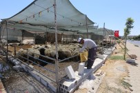 ŞIRINEVLER - Kurban Kesim Ve Satış Yerlerinde Karasinek Mücadelesi