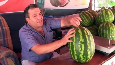 Merzifon'un Neşeli Karpuzcusu