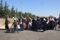 FIRAT KALKANI - Suriyelilerin Bayram Yolculuğu Sürüyor